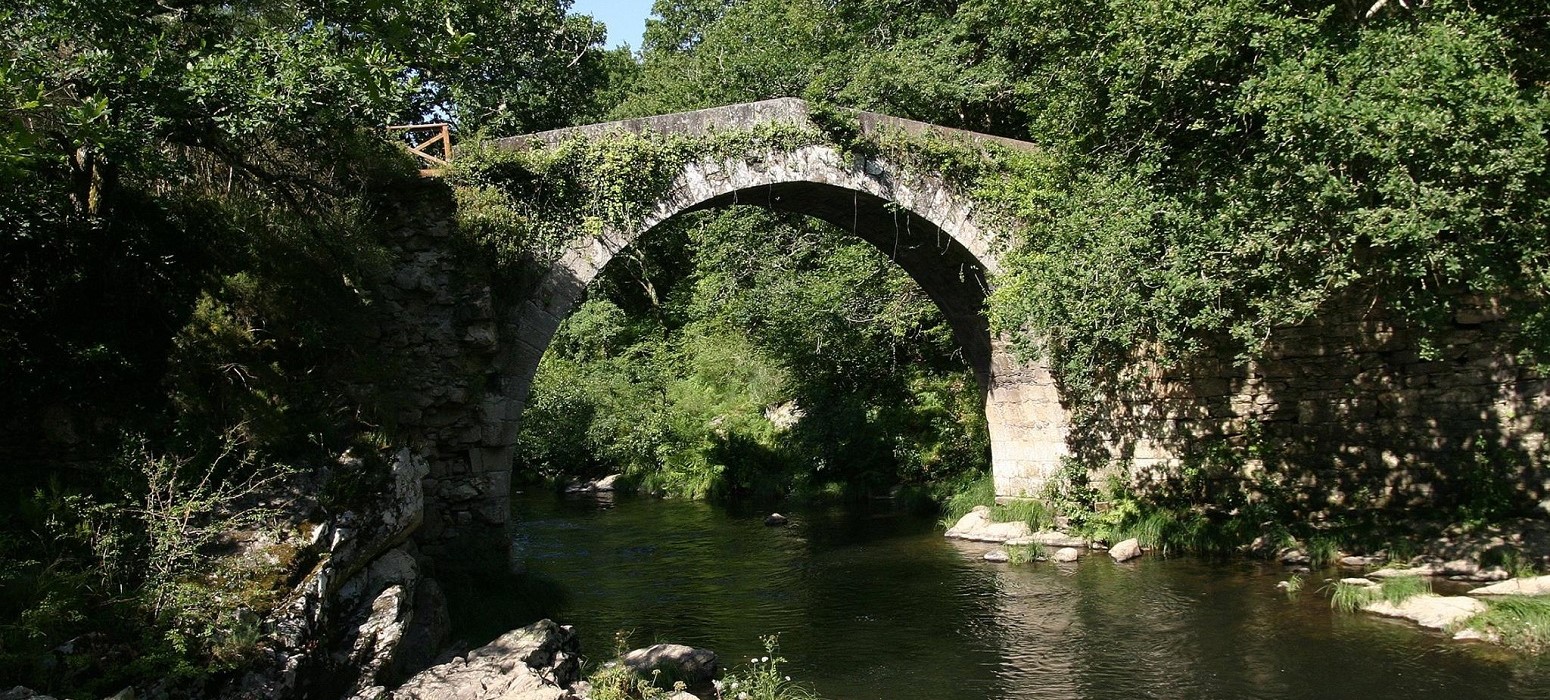 galicia adolescentes viajar solo con niños